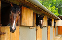free Llanelieu stable construction quotes